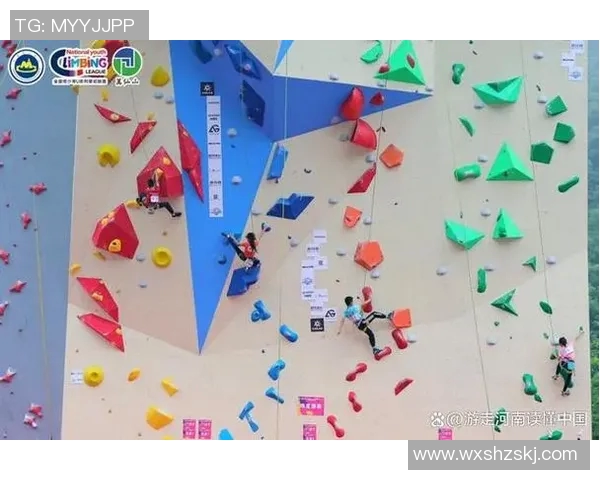 运动数据南京攀岩队的力量与激情探索攀岩运动的魅力与挑战